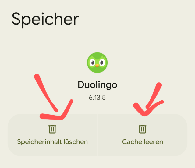 Duolingo am Smartphone Samsung Galaxy