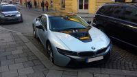 i8_spickipedia (1).jpg